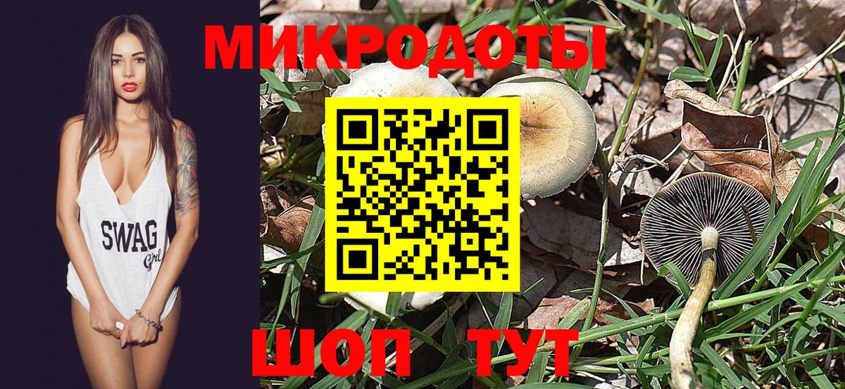 Апатиты  Псилоцибиновые грибы MAGIC MUSHROOMS  Вход с VPN 